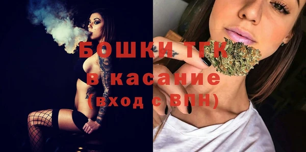 мяу мяу мука Аркадак