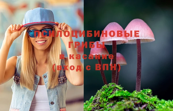 мяу мяу мука Аркадак