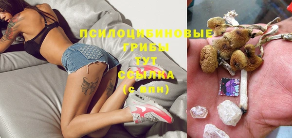 Альфа ПВП Арсеньев