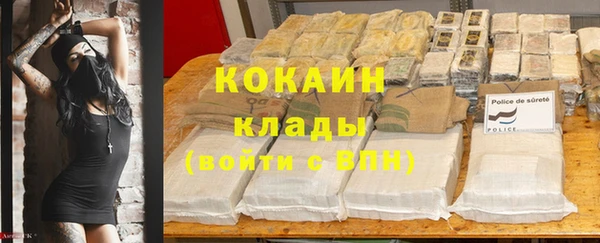 Альфа ПВП Арсеньев