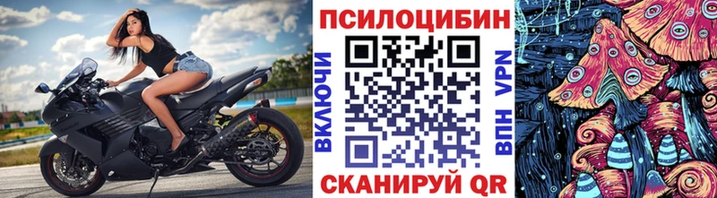 Псилоцибиновые грибы ЛСД omg вход Ужур